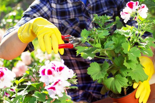 Garden waste collection and pricing for a small Upton front garden