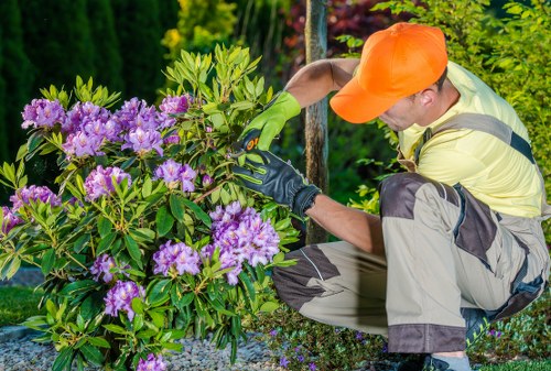 Professional garden care showing pruning and lawn upkeep in Upton