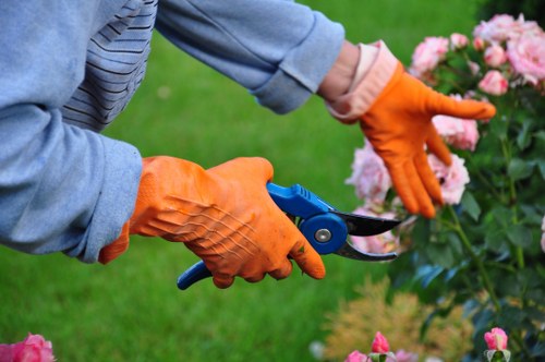 Liability and waste compliance terms