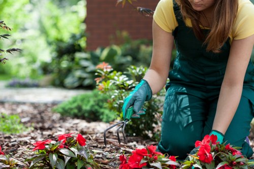 Closing a gardening complaints process