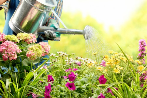 Soft landscaping with shrubs and seasonal plants in Upton