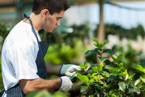 Garden safety procedures with insured gardeners in Upton