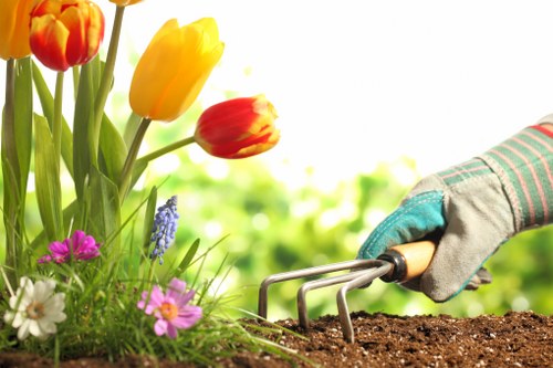 Seasonal gardening services in Upton improving flower beds and borders