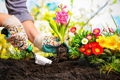 Risk assessment and safety planning for garden maintenance in Upton
