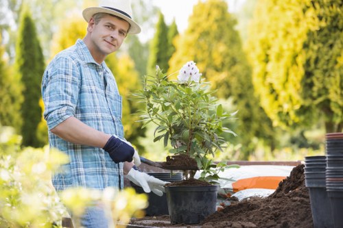 Upton gardening service shaping hedges and maintaining a neat garden