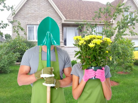 Upton garden maintenance with healthy borders and tidy lawn