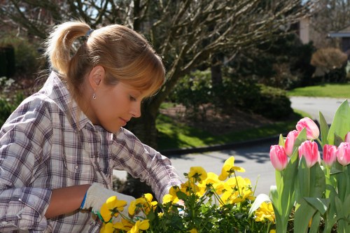 Seasonal hedge maintenance in Upton for tidy outdoor spaces