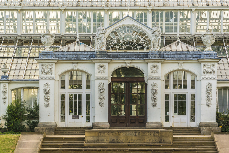 garden outdoor space