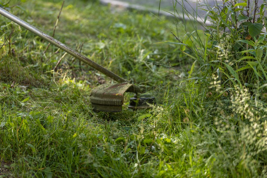 A close-up view of a garden with a focus on a mower head trimming tall grass and weeds along a garden border. The mower is partially visible with a metal handle extending diagonally across the image.